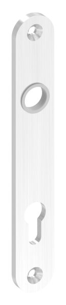 Langschild- Abmessung- 32 x 220 x 6mm- V2A-88-1110690.240