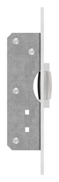 Pendeltuer-Fallenschloss-88.1140115