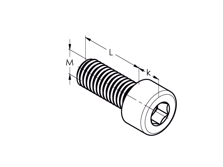 Zylinderschraube Innensechskant Edelstahl AISI 304 M10x45 DIN 912-89-11ADIN912A2M10X45-A.4
