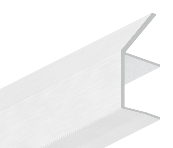 Regenrinne Aluminium eloxiert fuer Glas 21-52 mm L = 2000 mm E4-EV1-88-11VDE-RE-2000.21