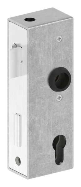 Kastenschloss verzinkt 40x60x173 mm mit Edelstahl Stulp-30-3201.8