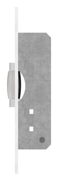 Pendeltuer-Fallenschloss-88.1140115