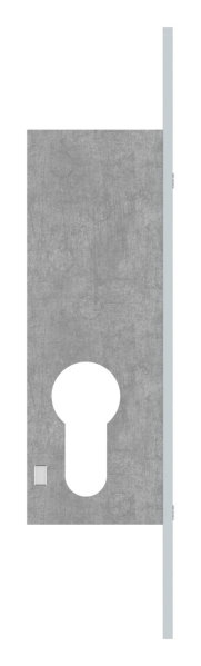 Rohrrahmen-Riegelschloss Zinkdruckguss Dornmass 22mm fuer Profilzylinder-88-1140110.22