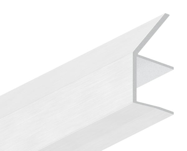 Regenrinne Aluminium eloxiert fuer Glas 17-52 mm L = 2200 mm Edelstahloptik E4-EV1-88-11VDE-RE-2200.17